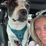 Casey Corkery - @caseycorkery74 - Instagram