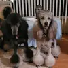 corkycasey1 - @corkycasey1 - TikTok