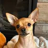 Casey - @caseycornell - TikTok