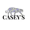 Casey's - @caseyscreativecorner - TikTok