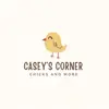 Casey’s Corner - @caseys.corner1 - TikTok