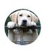 Caseyz Corner - Facebook