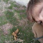 Case Cornwell - @flyingsquirrel777 - Instagram