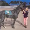 casey westecott - @caseywestecott3 - TikTok