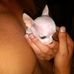Casey Courson - Facebook
