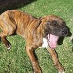 Casey Miles Coventry - @caseywayne09 - Instagram