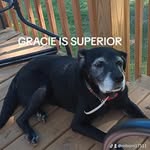 Casey Coy Gilliam - @reborn.1751 - Instagram
