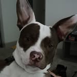 Casey Crain - @caseycrain27 - Instagram