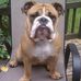 Kasey Cram - Facebook