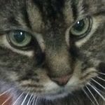 Casey Cramer - @cramer.casey02 - Instagram