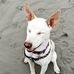 Casey Cramer - Facebook