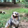 Charlescasey - @currancasey - TikTok