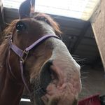 Casey1208 - @caseydempsey - Instagram