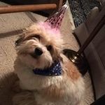 Casey Dempsey Heckman Wert - @wertcasey - Instagram