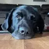 caseyblomdenton - @casey.blom.denton - TikTok
