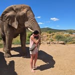Casey Diamond - @caseypooley - Instagram