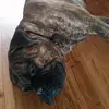 caseychebs - @caseydiamond123 - TikTok