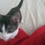 Casey Dixon - @casey.dixon.9026 - Instagram