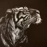 Casey Dixon - @caseydoesart - Instagram