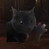 caseydriscoll5 - @dabloonianlst - TikTok