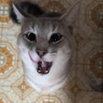 Casey Driver - @casey.l.86 - Instagram