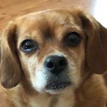 @casey.dubbs6 - Instagram