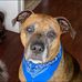 Casey Kimes Dyson - Facebook