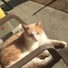 casey_edgar.ginger - @casey_edgar.gingerr - TikTok