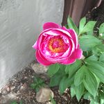 Casey Elder Longstaff - @caseyelderlongstaff - Instagram
