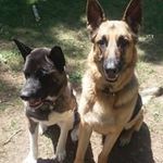 Casey Elmer - @elmer_casey - Instagram
