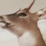 Casey Estep - @casey_estep - Instagram