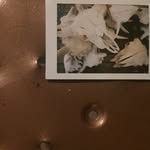 Casey Francis - @tall_in_spirit - Instagram