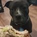 Casey Francis - Facebook