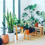 Casey Francis - @catsy.100_francis - Instagram
