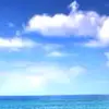 caseyfrancis667 - @caseyfrancis667 - TikTok