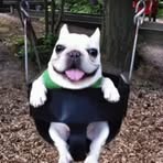 Casey Frank - Facebook