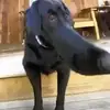 Casey 👍 - @casey.french - TikTok