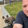 Casey’s Page 🐾 - @caseythefrenchie - TikTok