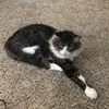 caseyfrye529 - @caseyfrye529 - TikTok
