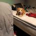 Casey Gibson - Facebook