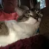 Casey Gibson - @casey.gibson3 - TikTok
