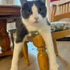 Casey Glass - @caseyglass1 - TikTok