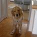 Casey Goldman - Facebook