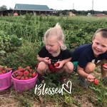 Susan Gorham Casey - @susangorhamcasey - Instagram