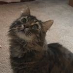 Casey Gorman - @casey_gormn - Instagram