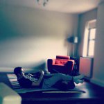 Casey O Gorman - @coggy132 - Instagram
