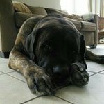 Casey Harrington - @casey.harrington.7921 - Instagram