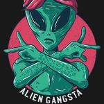 Casey Harrington - @knighthawk842 - Instagram