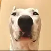 Casey hartman - @casey.hartman - TikTok