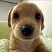 Cozy Haven - Facebook